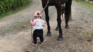 Little Girl Leads Horse
