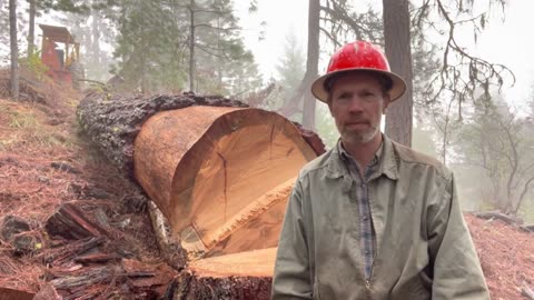 Huge Logs Tests the Limits of Farmi 501 Tractor Winch