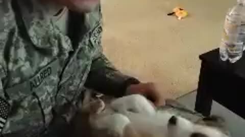 Little puppy kicks his legs when he's tickled!