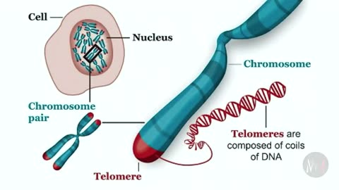 Your DNA is a MULTIVERSE Storage Device & Programmable & Microsoft is working on it