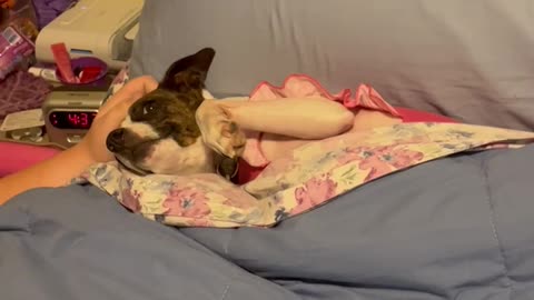 Princess sleeps like a HUman