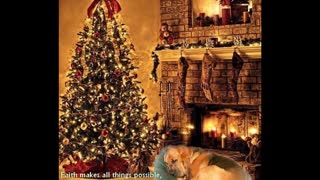 Bloodhound Christmas Philosophy