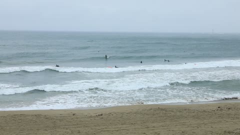 Surfing Maca in Korea
