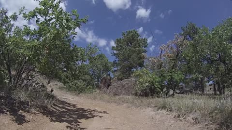 Trail 6515 Pine Grove Trailhead Black Hills National Forest South Dakota