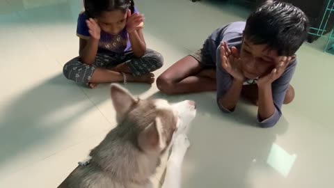 Kids Play Peekaboo with the Dog