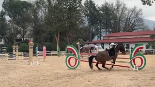 Horseback Rider Falls Off After Failed Attempt to Jump Fence