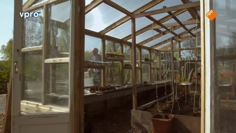 Maartens Moestuin deel 7/10. Tomaten en tuinkruiden.