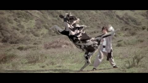 Cow Fight Kung Pow Enter the Fist Movie Clip