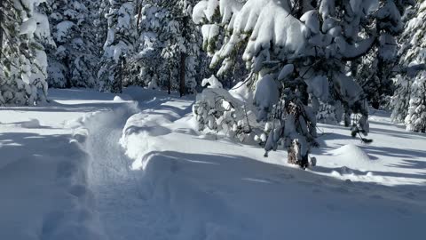 Enjoying the Peace & Quiet of the Winter Wonderland – Central Oregon – Swampy Lakes Sno-Park