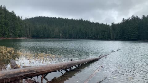 Oregon – Mount Hood National Forest – SW Corner Views of Lower Twin Lake – 4K