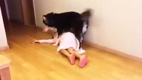 Women Pretends To Be Dead And Dog Tries To Save Her
