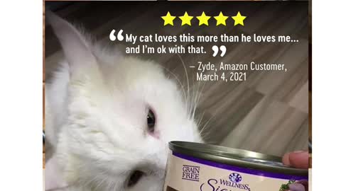 Wellness CORE Signature Selects Grain Free Canned Cat Food