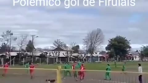 controversial goal of a dog - Polémico gol de firulais - Perro hace gol