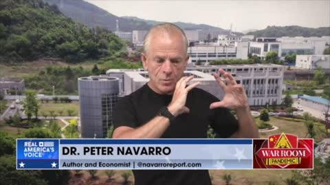 Dr. Peter Navarro Segment from 5/28