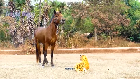 Fake Tiger 🐅 Prank on a Horse 🐴🤣🤣 Funny Reactions
