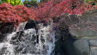 Spectacular garden waterfall