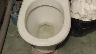 Rat Runs Away Into Toilet