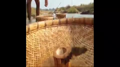 Unique fish trap video in River flowing water
