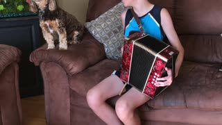 Duet with the Dog