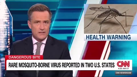 CNN: USA trasmesso un raro virus dalle zanzare
