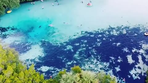 Ginnie Springs. One of Florida's finest natural springs.