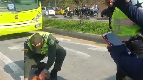 Bus de Metrolínea arrolló a un perro en la autopista a Floridablanca