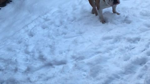 Play time in the snow