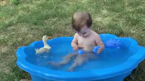 Funny Baby Reaction to Duckling in the Pool-Love baby