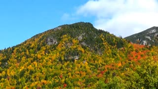 Mountain Foliage