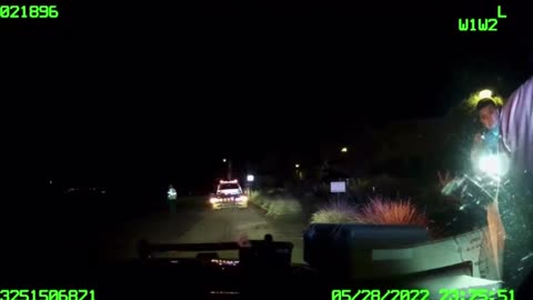 Pauly Pelosi dashcam-