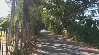 7.2Km walking from Kong Garden Resort to Phowadol Resort in Chiang Rai - Gregorian Music