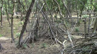 Bigfoot Teepee Structures, Territorial Displays