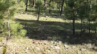 Our Grandson exploring the Outdoors