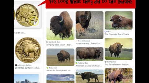 Nearly Obliterated - 1890s Only A Few Buffalo left Nearly Extinct Man - TheUnscrambledChannel