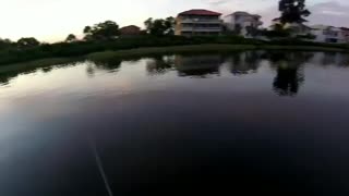 Topwater fishing trout