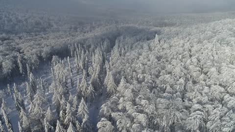 Beautiful glimpse of snow covered mountains