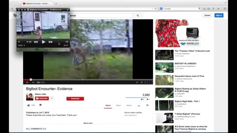 Bigfoot Encounter - Evidence Breakdown