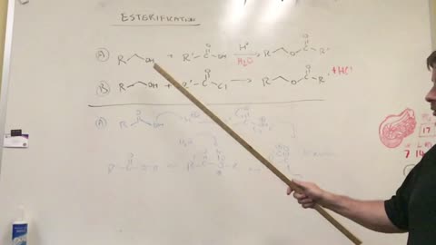 Esterification of Alcohols