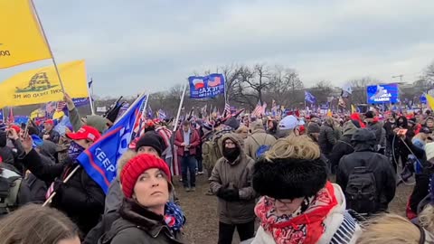 DC Protests - Trump Turnout