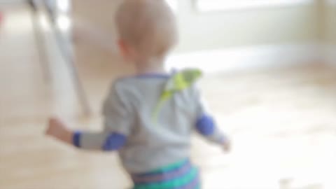 toddler boy playing with his pet parakeet