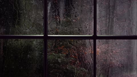 #WINDOW Night rain/ Relax/Sounds of nature.