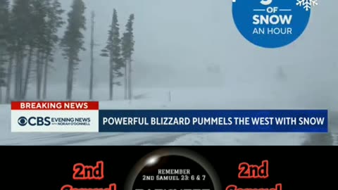 California Blizzard 🥶 , Up To 12ft of snow 🌨️/145 mile wind gusts