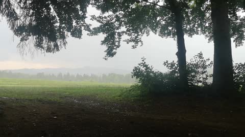 Lightning Strikes Close to Shelter