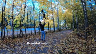 Autumn Vibe, beautiful nature.