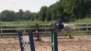 Girl in purple rides horse falls forward