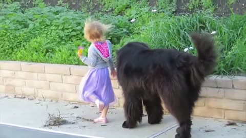 Dogs PROTECT Children and dogs are best friends, nanny dogs