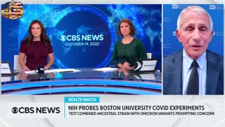Fauci - NIH probes Boston University COVID experiments