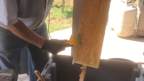 Scrapping Honey