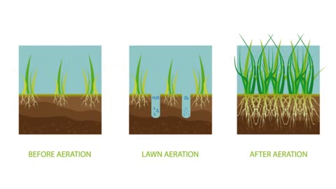 Lawn Aeration Smithsburg MD Lawn Care Service