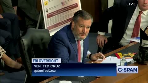 FBI Director Lies To Senator Ted Cruz About Targeting American Patriots